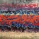 Piece par Ryno - Oakland (CA)