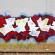 Piece par Jurne - San Francisco (CA)