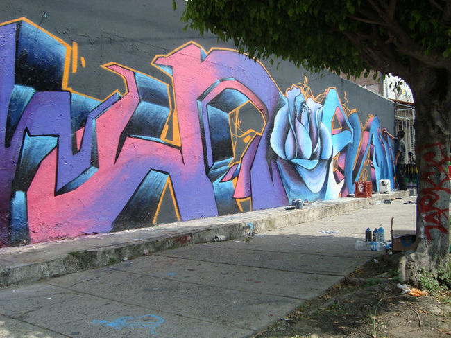Fresques Par Mayan - Guadalajara (Mexique)