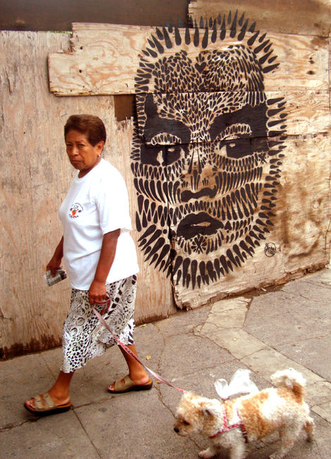 Street Art Par Stinkfish - Oaxaca De Juarez (Mexique)