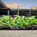 par Andc - Pekin (Chine)