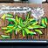 Piece par Starc! - Cirebon (Indonesie)