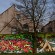 Fresques par Sepr, Cheo - Bristol (Royaume Uni)