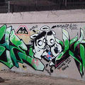 SUK