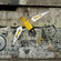 Street art par Stereoflow - Bandung (Indonesie)