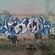 Tags par Hitman - Oujda (Maroc)