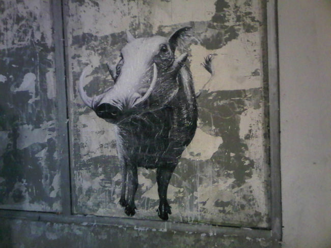 Street Art Par Goliath - Paris (France)