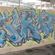 par Striker - Quito (Equateur)