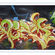  par Deem, Sen2, Logek - New York City (NY)
