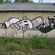  par Lints - Liepzig (Allemagne)